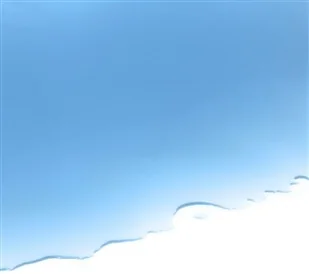 TROTEC Naturalny niebieski barwnik PureMarin 200 g - Akcesoria do urządzeń pomiarowych - miniaturka - grafika 3