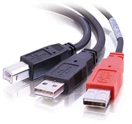 Adaptery i przejściówki - CABLESTOGO Przewód Cables To Go 81578 Y (wtyczka USB 2.0, typ-B-na 2 X wtyczka typu A, 2 m) 81578 - miniaturka - grafika 1