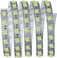 Pozostałe oświetlenie - Paulmann Taśma LED Function MaxLED RGB Basiset 1 5m 70587 ze złączem męskim 24 V - miniaturka - grafika 1