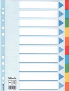 Esselte PZEKLADKI 10KART 5 KOLOROW KARTA OPISOWA 100193 - Etykiety samoprzylepne i bloki etykiet - miniaturka - grafika 3