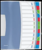 Teczki i skoroszyty - Teczka segregująca 12 przekładek -ESSELTE VIVIDA z przekładkami N2526 NB-1380 - miniaturka - grafika 1