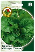 Nasiona i cebule - Nasiona szpinak olbrzym zimowy - miniaturka - grafika 1