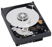 Dyski HDD - Western Digital Caviar WD2500AVJS - miniaturka - grafika 1