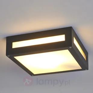 Lampenwelt Prostokątna zewnętrzna lampa sufitowa Nerea - Lampy ogrodowe - miniaturka - grafika 6