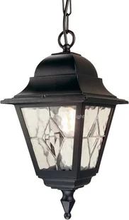 Elstead Lighting Lampa wisząca NORFOLK NR9 BLK IP43 - Lampy ogrodowe - miniaturka - grafika 2