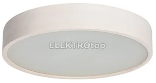 Kanlux Jasmin D47,5 plafon 3-punktowy Biały dąb 470-W 23125 - Lampy sufitowe - miniaturka - grafika 2