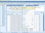 Programy użytkowe i narzędziowe - Coral Creek SQLite Expert Professional - miniaturka - grafika 1