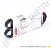 Części i akcesoria do maszyn rolniczych - CNH PAS SPRĘŻARKI DO NOWEGO TYPU TM 82021010 - miniaturka - grafika 1