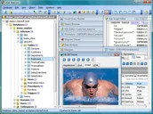 Oprogramowanie serwerowe - SQL Maestro Group ASA Maestro - miniaturka - grafika 1