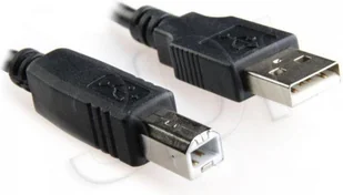Gembird męskie - męskie Kabel USB3 m black Niklowane końce (CCP-USB2-AMBM-10) - Kable USB - miniaturka - grafika 2