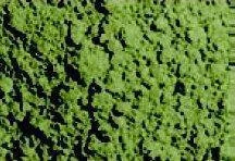 VALLEJO Pigment Faded Olive Green - Modele do sklejania - miniaturka - grafika 2