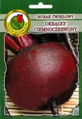 Nasiona i cebule - Pnos Burak ćwikłowy okrągły ciemnoczerwony 500g - miniaturka - grafika 1