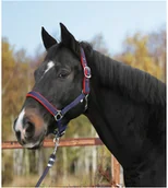 Kantary dla koni - Kantar Dexter, z polarową podkładką, czerwono-niebieski, roz. 1 - miniaturka - grafika 1