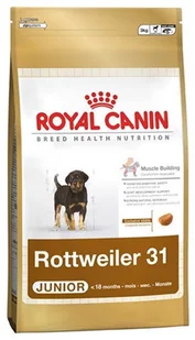 Royal Canin Rottweiler Junior 12 kg - Sucha karma dla psów - miniaturka - grafika 3