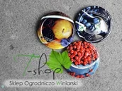 Pozostałe akcesoria kuchenne - Biowin ZAKRĘTKA DO SŁOIKÓW fi 66 owoce (2) 10 szt. (klik) Prz000064 - miniaturka - grafika 1