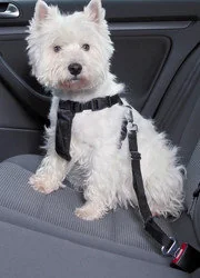 Animonda Gran Carno Sensitiv Wołowina + Ziemniaki 800G - Mokra karma dla psów - miniaturka - grafika 4