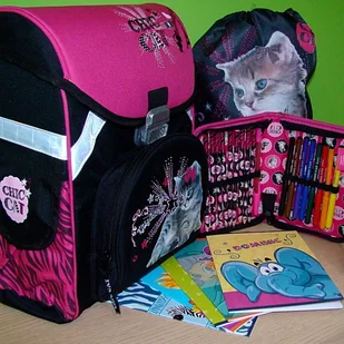 PATIO Klej w płynie Donau z kulką 50 ml - Kleje biurowe - miniaturka - grafika 43