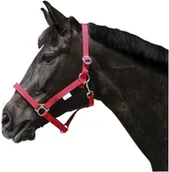 Kantary dla koni - Kantar nylonowy czerwony, roz. 5 - miniaturka - grafika 1