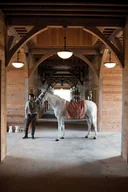 Lampy sufitowe - Elstead Lighting Lampa wisząca MAYFLOWER kol. STARY BRĄZ (HK/MAYFLOWER/P) - Hinkley - - miniaturka - grafika 1