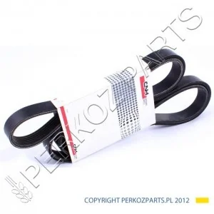 NEW HOLLAND CASE PASEK ALTERNATORA 87316556 - Części i akcesoria do maszyn rolniczych NEW HOLLAND CASE PASEK ALTERNATORA 87316556 - Części i akcesoria do maszyn rolniczych - miniaturka - grafika 1