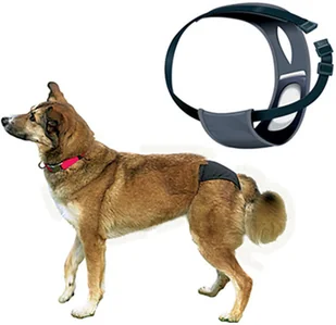 Trixie Majtki na cieczkę rozmiar XL nr kat.23495 - Specjalistyczne artykuły dla zwierząt - miniaturka - grafika 3