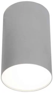 Nowodvorski Plafon LAMPA sufitowa POINT PLEXI L 6531 metalowa OPRAWA SPOT downlight okrągła srebrny - Lampy sufitowe Nowodvorski Plafon LAMPA sufitowa POINT PLEXI L 6531 metalowa OPRAWA SPOT downlight okrągła srebrny - Lampy sufitowe - miniaturka - grafika 1