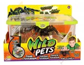Figurki dla dzieci - Cobi WILD PETS - PAJĄK W TERARIUM STRIPER - 29002 - miniaturka - grafika 1