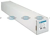 Papier do drukarek - HP Blue Back Billboard (1372mm, 80m) CG502A - miniaturka - grafika 1