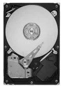 Dyski HDD - Seagate ST3500412AS - miniaturka - grafika 1