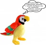 Zabawki interaktywne dla dzieci - Madej KLARA PAPUGA POWTARZA ZABAWNYM GŁOSEM TAŃCZY - miniaturka - grafika 1