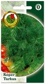 Nasiona i cebule - Nasiona koper turkus - miniaturka - grafika 1