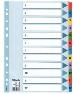 Esselte PRZEKŁADKI KARTONOWE MYLAR A4 1-10 (0B) 100161 - Przekładki do segregatorów - miniaturka - grafika 5