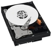 Dyski HDD - Western Digital Caviar WD5000AVVS - miniaturka - grafika 1