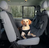 Sprzęt podróżny i transportery dla psów - Trixie w Podróży Mata samochodowa 1.40 x 1.45m nr kat.13233 - miniaturka - grafika 1