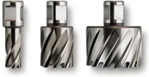 Fein HSS Nova 25 wierto koronkowe z uchwytem Weldon O 12 x 25 mm (63134120051) - Wiertła Fein HSS Nova 25 wierto koronkowe z uchwytem Weldon O 12 x 25 mm (63134120051) - Wiertła - miniaturka - grafika 1