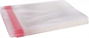 Esperanza Koperty FOLI NA CD/DVD 158x130mm 50 MIKR Z KLEJ 5013 - Pudełka i akcesoria na płyty CD - miniaturka - grafika 2