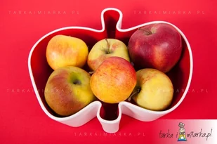 Sagaform Miska do serwowania jabłek - - Winter (SF-5017282) - Miski i półmiski - miniaturka - grafika 2