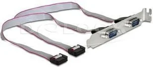 Delock GNIAZDO COM 9PIN (DB9M) X2 NA ŚLEDZIU 89268 - Adaptery i przejściówki - miniaturka - grafika 2