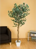Sztuczne drzewka - GreenTree SZTUCZNE DRZEWO FIKUS BENJAMIN KWIATY DRZEWKO - miniaturka - grafika 1
