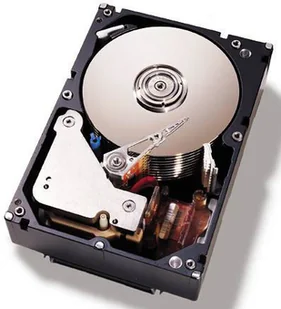 IBM 500GB 7.2K 6Gbps NL SATA 3.5in G2HS HDD 81Y9786 - Dyski serwerowe - miniaturka - grafika 3