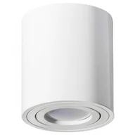 Oprawy, klosze i abażury - Kobi Oprawa do nabudowania ruchoma okrągła biała OH-36L OH-36L - miniaturka - grafika 1