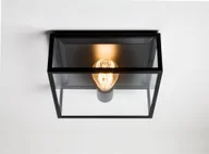 Lampy ogrodowe - Astro Lighting Oprawa sufitowa BRONTE 7388 - miniaturka - grafika 1