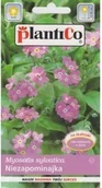 Nasiona i cebule - Plantico NIEZAPOMINAJKA RÓŻOWA 0,5g - miniaturka - grafika 1