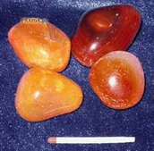 Gadżety do domu - Karneol KB - miniaturka - grafika 1