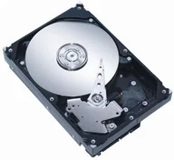 Dyski HDD - Seagate Barracuda LP ST32000542AS - miniaturka - grafika 1