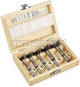 Wiertła - Bosch (O) 5-częściowy zestaw środkowców z węglików spiekanych (HM) 2607018 - miniaturka - grafika 1