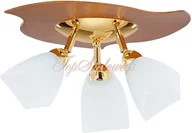 Lampy sufitowe - Alfa Uran Lampa sufitowa 1097 - miniaturka - grafika 1