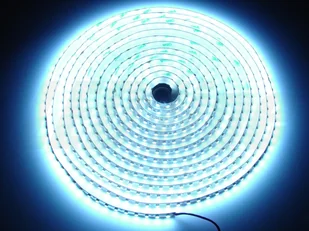 LED Line Profesjonalna Taśma LED 600 SMD 3528 w powłoce silikonowej IP65 biała z (240409) - Taśmy LED LED Line Profesjonalna Taśma LED 600 SMD 3528 w powłoce silikonowej IP65 biała z (240409) - Taśmy LED - miniaturka - grafika 1