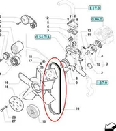 Części i akcesoria do maszyn rolniczych - CNH PASEK WIELOKLINOWY 87800858 - 87309962 - miniaturka - grafika 1