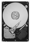 Dyski HDD - Seagate ST31000525SV - miniaturka - grafika 1